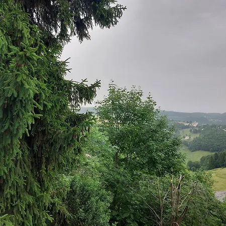 Biancaneve Bosco Chiesanuova